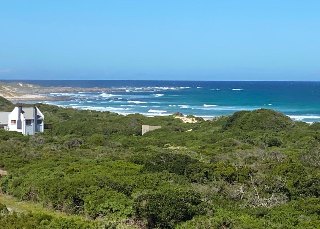 הוילה קייפ סנט פרנסיס A Real Gem In Cape St Francis מראה חיצוני תמונה
