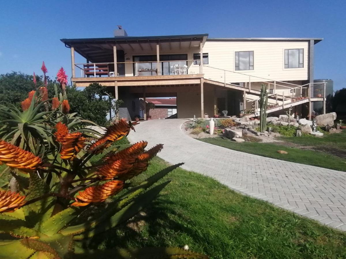 הוילה קייפ סנט פרנסיס A Real Gem In Cape St Francis מראה חיצוני תמונה